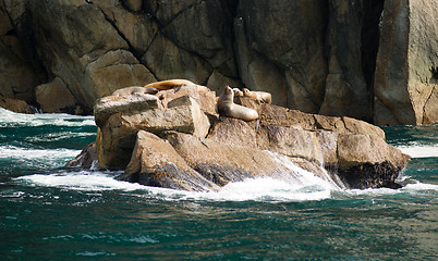 Image showing Sea Lions Dry Out Rocky Outcroppings Alaska Valdez Arm 