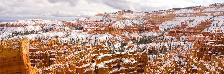 Image showing Fresh Snow Blankets Bryce Canyon Rock Formations Utah USA
