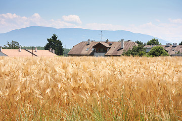 Image showing Rural countryside