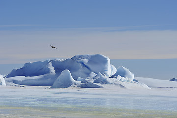 Image showing Beautiful view of icebergs in Snow Hill Antarctica