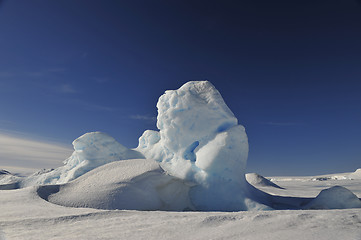 Image showing Beautiful view of icebergs in Snow Hill Antarctica