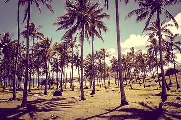 Image showing Anakena palm beach and Moais statues site ahu Nao Nao, easter is