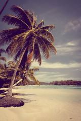 Image showing Paradise tropical beach and lagoon in Moorea Island