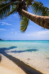 Image showing Paradise tropical beach and lagoon in Moorea Island