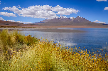 Image showing Altiplano laguna in sud Lipez reserva, Bolivia