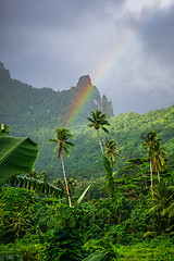Image showing Rainbow on Moorea island jungle and mountains landscape