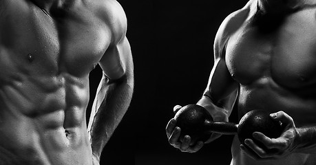 Image showing The torso of attractive male body builder on black background.