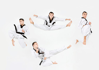 Image showing The karate man with black belt training karate