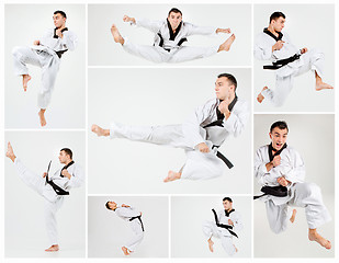 Image showing The karate man with black belt training karate