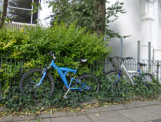 Image showing Bicycles and Ivy