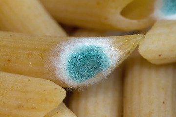 Image showing Mould on Pasta