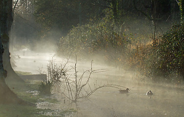 Image showing Mist and Sunshine