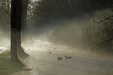 Image showing Misty Morning