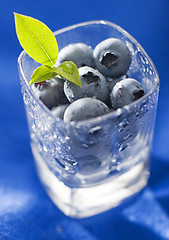 Image showing blueberry