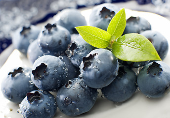 Image showing blueberry