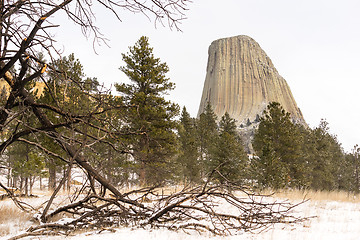 Image showing Devils Tower Wyoming Winter Snow Rock Butte