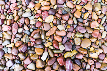 Image showing Smooth Rocks Lake McDonald Glacier National Park Montana