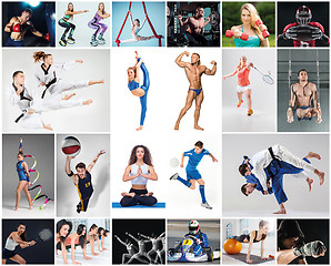 Image showing Collage about different kind of sports