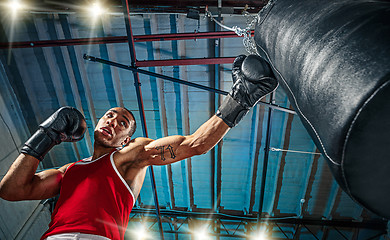 Image showing Afro american male boxer.