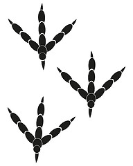 Image showing Imprint of the trace of the bird