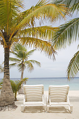 Image showing Tropical Beach Scene