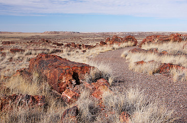 Image showing Petrified-Forest-National-Park, Arizona, USA