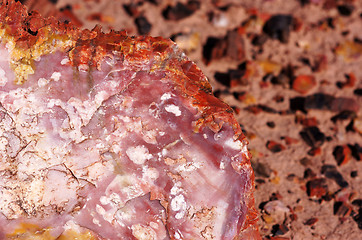 Image showing Petrified-Forest-National-Park, Arizona, USA