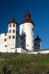 Image showing Laeckoe Castle, Sweden