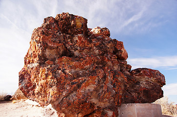 Image showing Petrified-Forest-National-Park, Arizona, USA