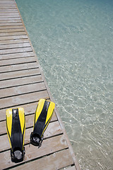 Image showing Flippers on a Jetty