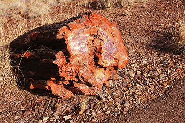 Image showing Petrified-Forest-National-Park, Arizona, USA