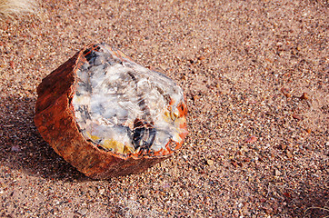 Image showing Petrified-Forest-National-Park, Arizona, USA