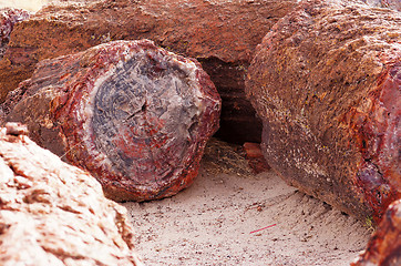 Image showing Petrified-Forest-National-Park, Arizona, USA