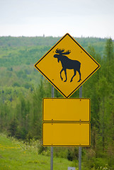 Image showing Moose Crossing