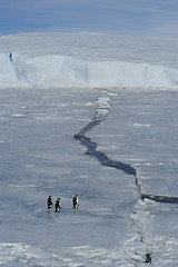 Image showing Beautiful view of icebergs Snow Hill Antarctica