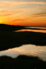 Image showing Summer in Djursland - Denmark