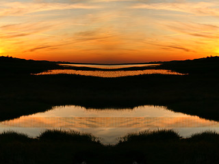 Image showing Summer in Djursland - Denmark