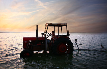 Image showing Summer in Djursland - Denmark