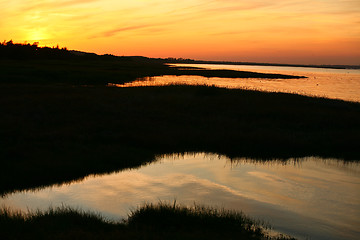 Image showing Summer in Djursland - Denmark