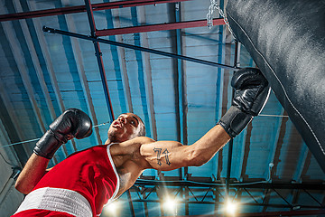 Image showing Afro american male boxer.