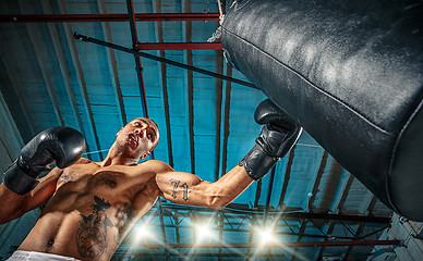 Image showing Afro american male boxer.