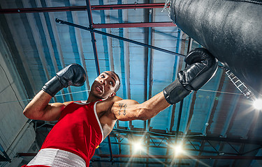 Image showing Afro american male boxer.