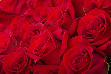 Image showing Bouquet of fresh red roses