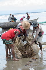 Image showing Native Malagasy fishermen fishing on sea, Madagascar