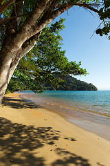 Image showing Beautiful dream paradise beach, Madagascar
