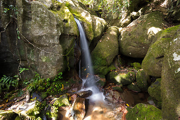 Image showing Small waterfall in Masoala national park, Madagascar