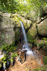 Image showing Small waterfall in Masoala national park, Madagascar