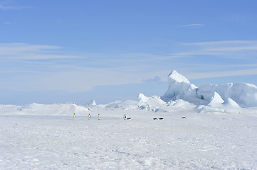 Image showing Beautiful view of icebergs Snow Hill Antarctica