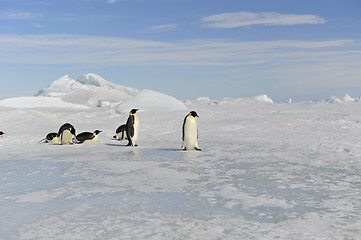 Image showing Beautiful view of icebergs Snow Hill Antarctica