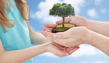 Image showing close up of father and girl hands with oak tree